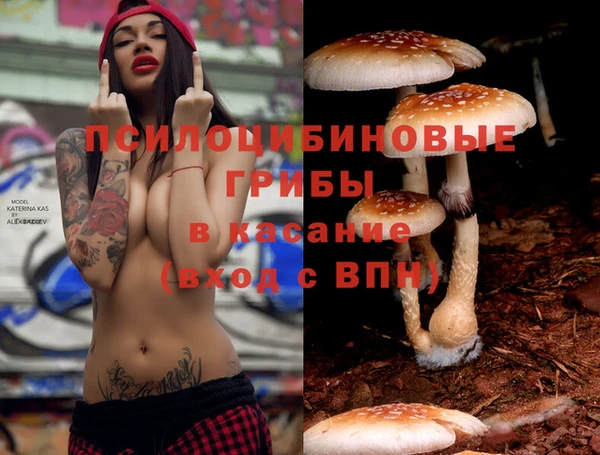 бошки Белоозёрский