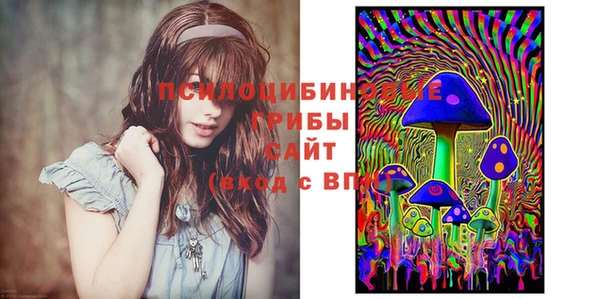 скорость Белокуриха