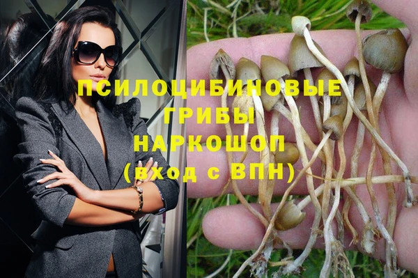 mdma Никольск