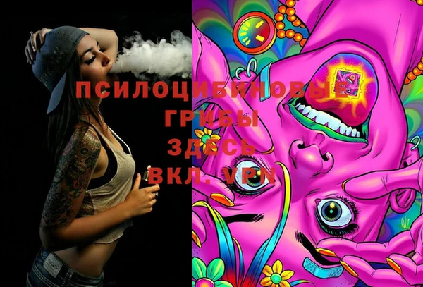 винт Слюдянка